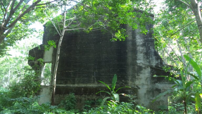 Jejak Kolonial di Perkebunan Tua Milik Negara (Bagian – 2)